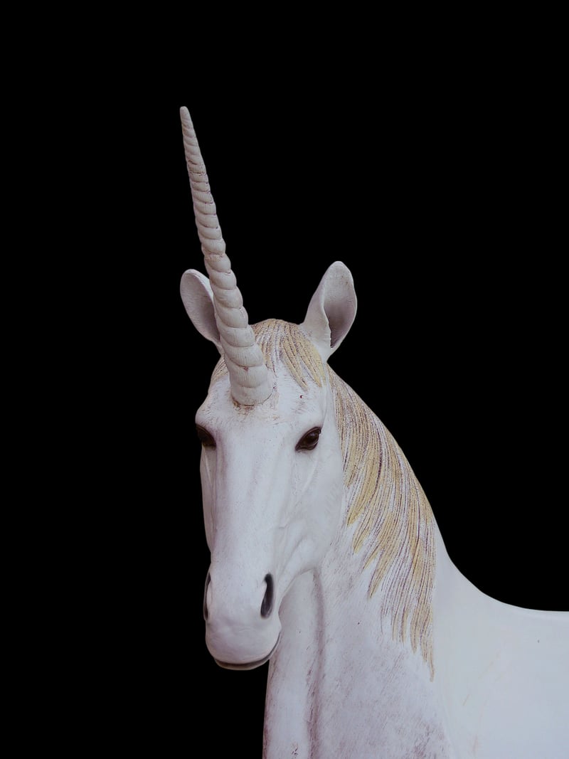 Unicorn Elixir